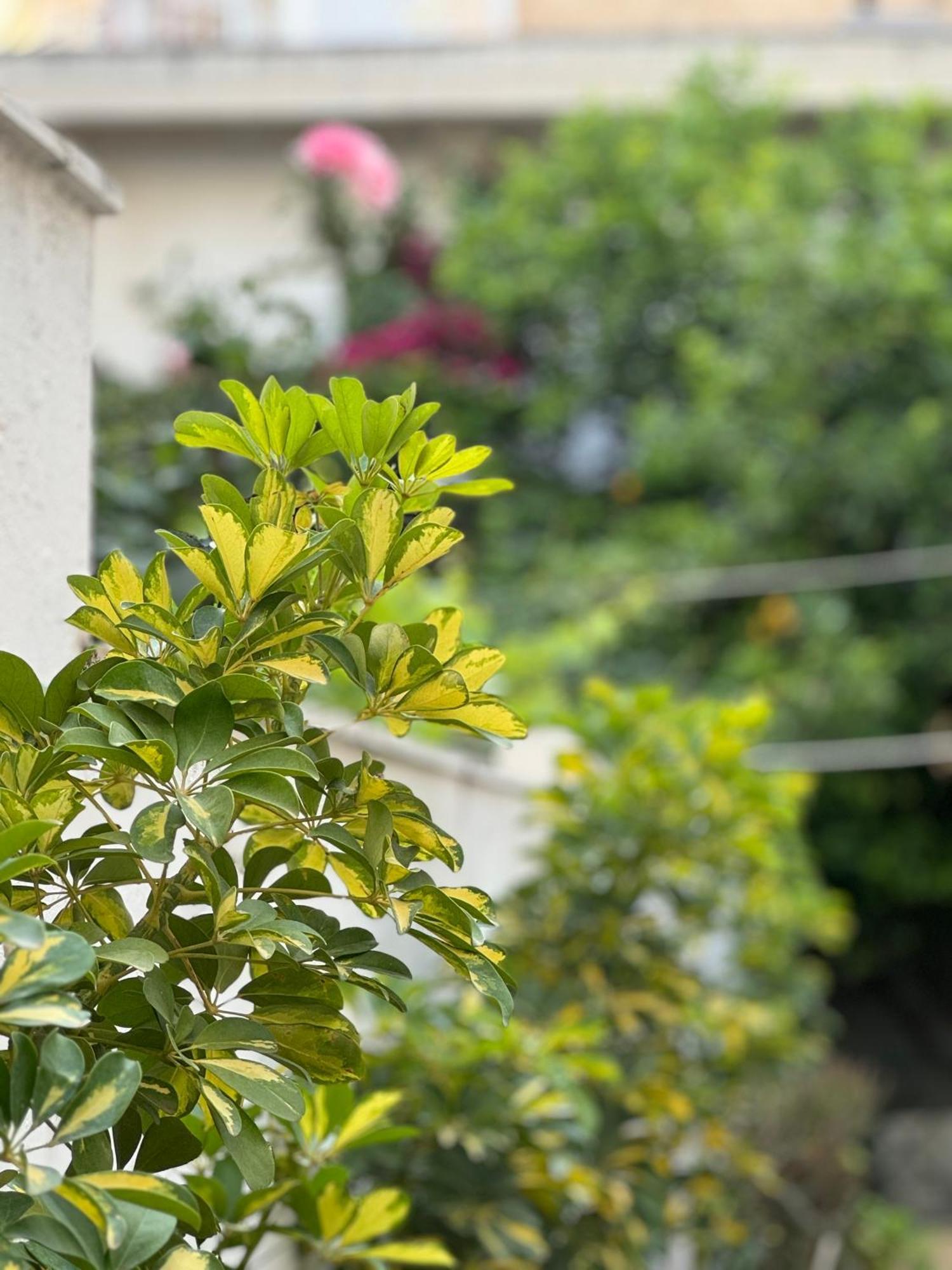 Μονοκατοικία «Maizonette Passaggio G» Volos Exterior foto